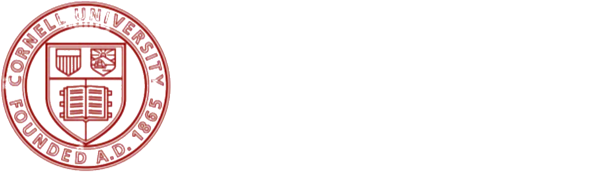康奈尔大学